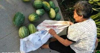 宁陵吃瓜最新事件爆料,揭秘背后惊人真相 第3张 宁陵吃瓜最新事件爆料,揭秘背后惊人真相 第3张